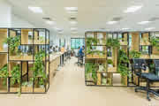 Thiết kế không gian xanh cho phòng làm việc 